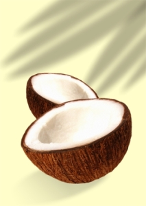 coconut-1484766